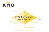 KMO Consult BV & MVO
