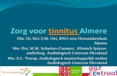 Aanpak Kan Beter Tinnitusavond Nvvs Zorg Voor Tinnitus Almere 12 Mei