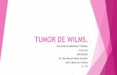 Tumor de Wilms/ Nefroblastoma.