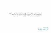The Marshmallow challenge