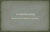 Winterkoning powerpoint