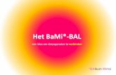 BaMiBal inzending Dorpenderby