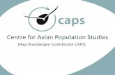 Inleiding CAPS symposium - Maja Roodbergen
