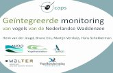 Ge¯ntegreerde monitoringvan vogels van de Nederlandse Waddenzee - CAPS - Henk van der Jeugd
