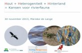 (OBN) Hout + Heterogeniteit + Hinterland - Marieke de Lange