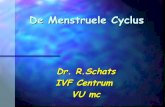 De menstruele cyclus