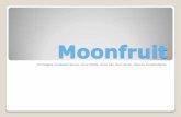 Groepswerk Moonfruit