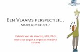 Vlaams perspectief
