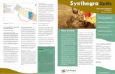 TGJ Communicatie Synthegra Archeologie Spits nieuwsbrief