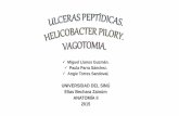 Tracto GastroDuodenal - Helicobacter Pilory -Ulceras Pépticas - Vagotomia