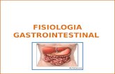 Fisiologia gastrointestinal (1)