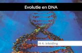 H4 evolutie en dna
