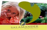 Salamander Brochure Download