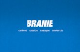 Branie's visie op online samenwerken