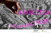 Stadsacupunctuur voor winkelgebied Amicitia in Amersfoort
