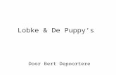 Powerpointpresentatie : Lobke & De Pups
