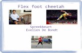 Spreekbeurt flex foot cheetah v1.2
