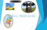 Quiz nederlands opendag