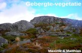 Gebergte vegetatie (mountain vegetation)
