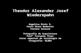 Theodor alexander josef wiederspahn ppt.