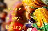Colour is a way of living