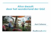 Alice dwaalt door het wonderland der GGZ - prof. dr. A. Schene 09-04-2015