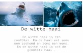 De witte haai