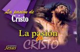 ss6 pasion Cristo