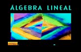 Algebra lineal, 8va edición (bernard kolman & david r. hill)