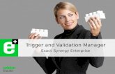 Trigger and Validation Manager SE