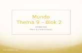 Mundo   thema 9 - blok 2