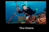 Tina owens