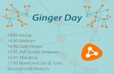 Ginger day def