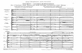 Strauss - Duet Concertino Orch. Score