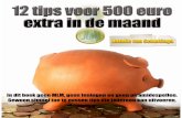 12 Tips Voor 500 Euro Extra in de Maand