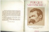 Porque Nietzsche