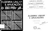 Algebra Linear e Aplicacoes - Callioli 4