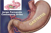 Gastritis Jorge Cassanova