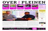 Over de Pleinen_Over Deventer_mei 2015.pdf