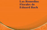 Eduard Bach Intro