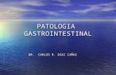 Patologia Gastrointestinal II