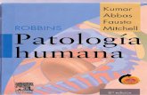 Abbas, Fausto, Mitchell, Kumar - Robbins Patologia H.