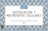 Gastrulacion y Movimientos Celulares (1)