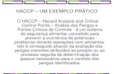 UN CASO PRACTICO HACCP.pdf