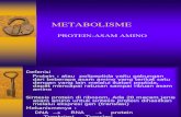 Met.asam Amino Protein