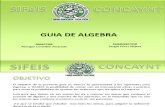 Sifeis Concaynt - Guía de Algebra