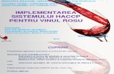 Mitrescu Denisia Silvy- HACCP Vin (1)[1]