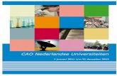 CAO 2011-2014