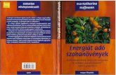 Eva-Katharina Hoffmann - Energiat Ado Szobanovenyek