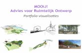 MOOIJ_portfolio visualisaties-